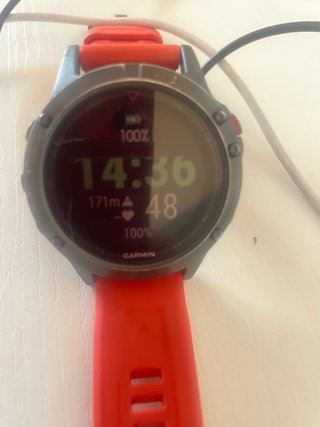Garmin Fenix 5 Plata.