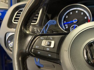 Volkswagen Golf R 300 CV DSG 4MOTION · Performance · Akrapovič · Pretoria 19” · DYNAUDIO