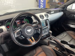 Ford Mustang Recaro