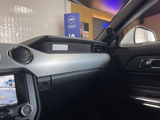 Ford Mustang Recaro