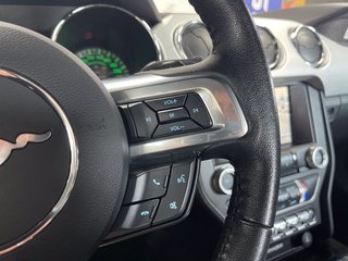 Ford Mustang Recaro