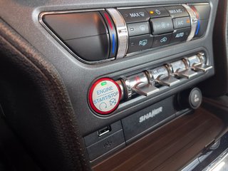 Ford Mustang Recaro
