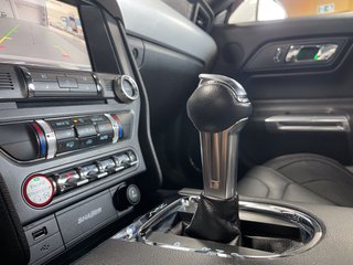 Ford Mustang Recaro