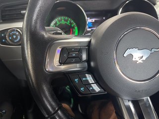 Ford Mustang Recaro