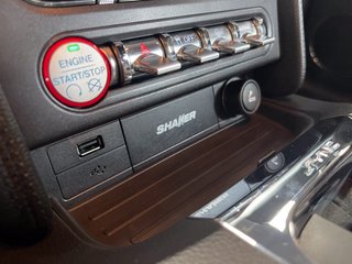 Ford Mustang Recaro