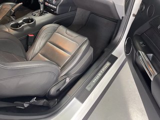 Ford Mustang Recaro