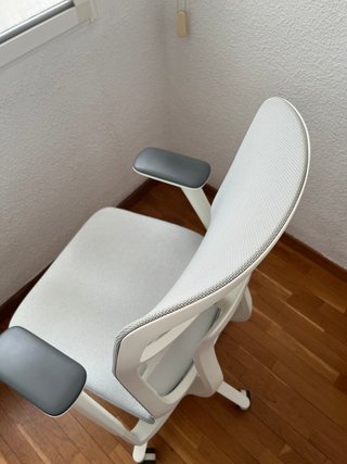 Silla ergonómica de oficina · Blanco y Gris