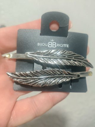 Lote Accesorios Pelo Bijou Brigitte y Primark