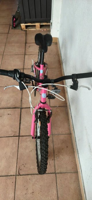 Bicicleta niña rosa Speed Adict 20.2