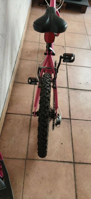 Bicicleta niña rosa Speed Adict 20.2