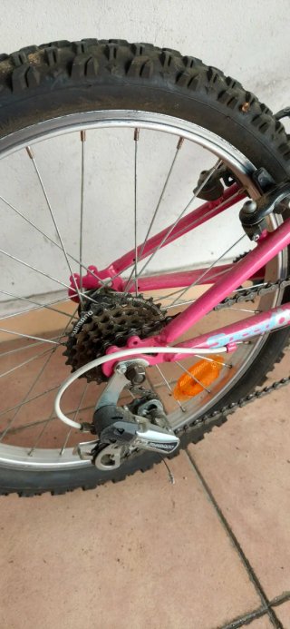Bicicleta niña rosa Speed Adict 20.2