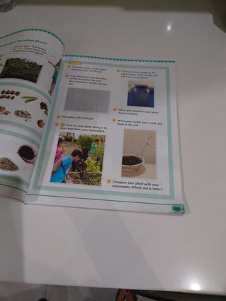 CLIL Goals Natural & Social Sciences 3. Class book