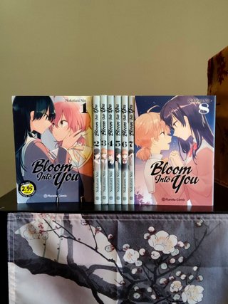 Bloom into you completa