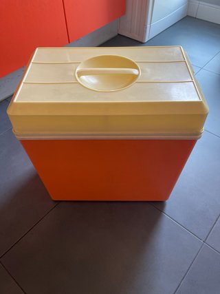 Nevera portátil Grande