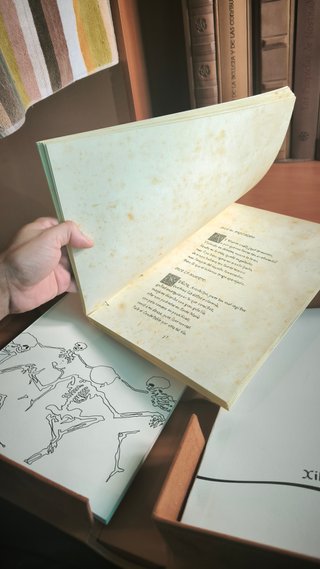 Manuscrito medieval