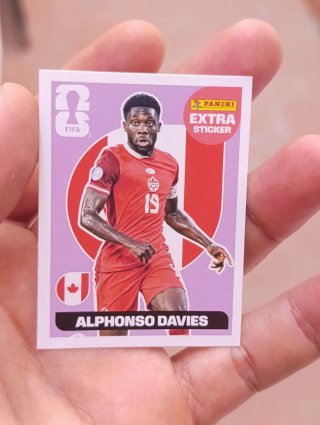 12 Cromos Extra Panini Mundial 2026