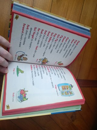 Il mio primo dizionario di inglese tascabile.