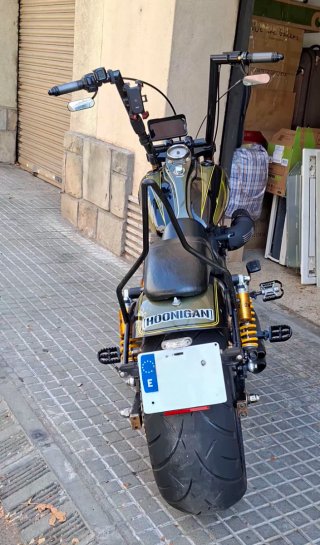 Harley Davidson Customizada