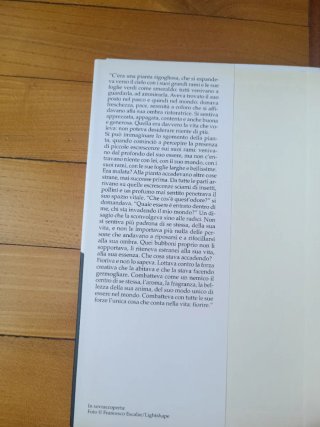 L'unica cosa che conta