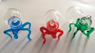 Pulpos de cristal para acuario