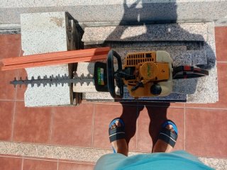 Cortasetos gasolina