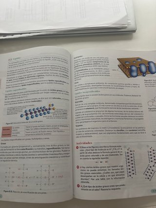 Biología, Geología y CC. Ambientales 1º Bachill...