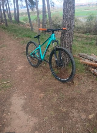 Bicicleta Montaña WST