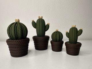 CACTUS DECORATIVO 3D