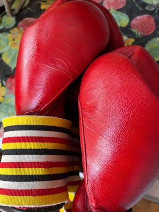 Guantes de Boxeo Charlie The Insane