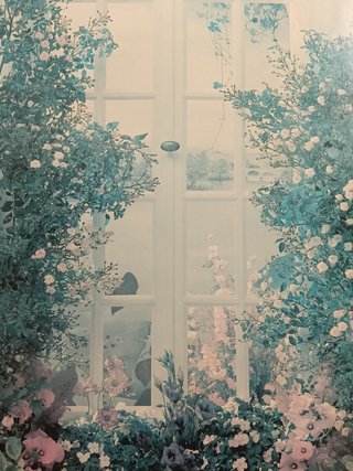 Póster enmarcado ventana y flores
