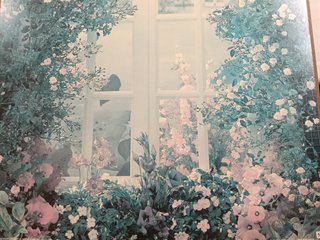 Póster enmarcado ventana y flores