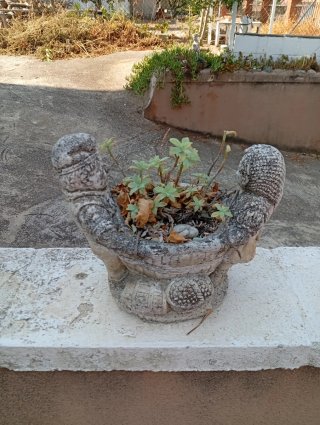 Maceta de piedra con diseño de manos