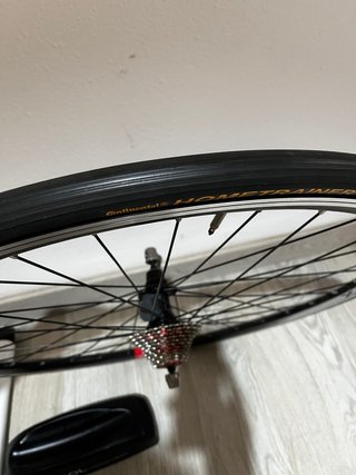 Rodillo Bkool Connect Sport + Rueda Continental