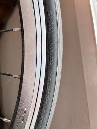 Rodillo Bkool Connect Sport + Rueda Continental