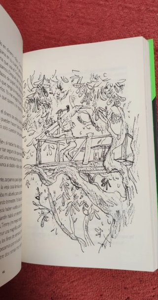 Libro Las brujas Edición especial