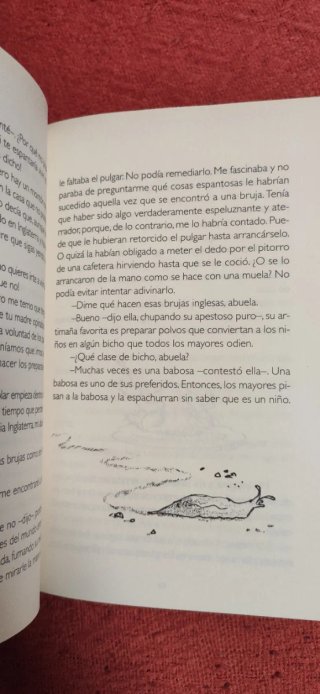 Libro Las brujas Edición especial