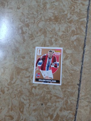 Cromos Mundial 2026 - 24 cartas