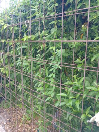 Mallazo de hierro  2m x 5m ( 2 unidades) nuevos