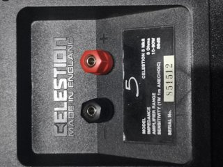 Altavoces Celestion Negros
