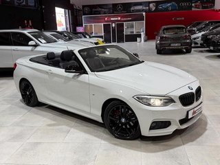 BMW Serie 2 220d Cabrio 140 kW (190 CV)