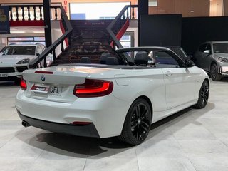 BMW Serie 2 220d Cabrio 140 kW (190 CV)