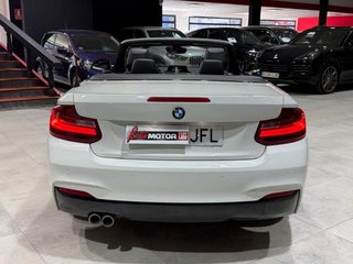 BMW Serie 2 220d Cabrio 140 kW (190 CV)