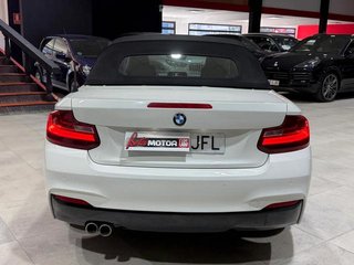 BMW Serie 2 220d Cabrio 140 kW (190 CV)