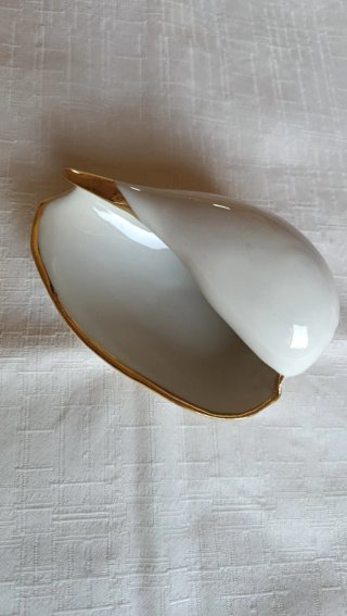 Set 2 conchiglie porcellana oro