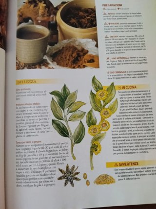 Meraviglioso libro ricette semplici per realizzare