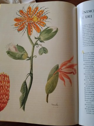 Meraviglioso libro ricette semplici per realizzare