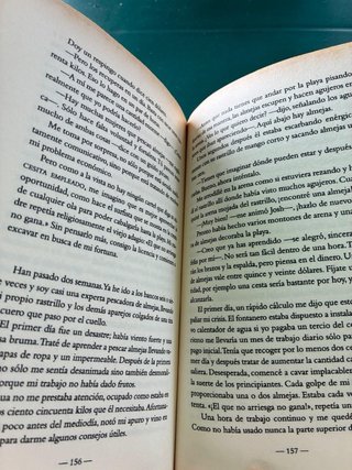 Un año junto al mar