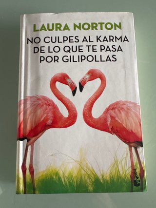 No culpes al karma de lo que te pasa por gilipo...