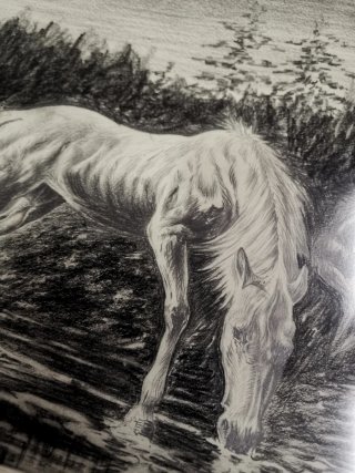 Preciosa dibujo antiguo temática caballos Granados