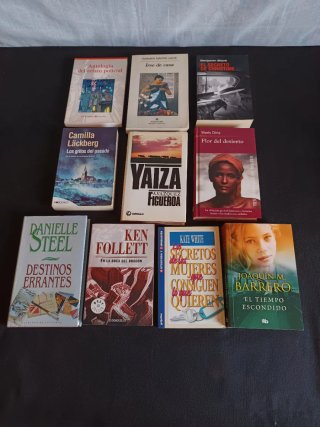 Lote de 10 libros variados